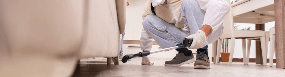 Como Faço para Eliminar Insetos ?  24 HORAS